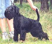 �������������� (������� ������)