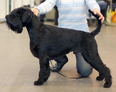 Otis Boanergos Galiley