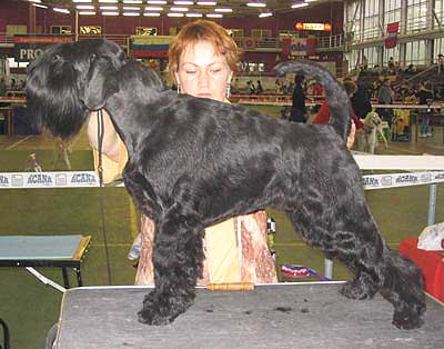 TKEMAALY KLAVELI OT BARBATSUTSY 