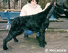 Otis Boanergas Genrih Lankaster