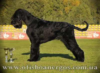 Otis Boanergos Bel'mando
