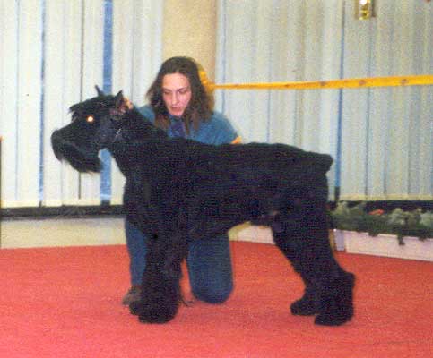 ������ ���