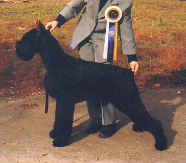 Wanger Tangeizer Lian