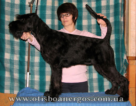 Otis Boanergos Uernaturlich